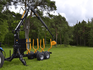 06 - Bois - Divers - Grue forestière