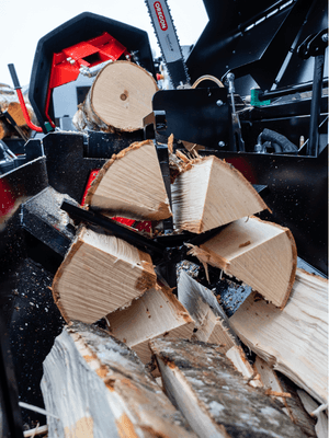 06 - Bois - Divers - Combiné PALAX à chaine avec tronçonneuse