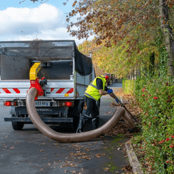 41 - Motoculture, Outillage Ferme et Jardin  - Outillage jardin et ferme - Aspirateur de feuilles WINDY