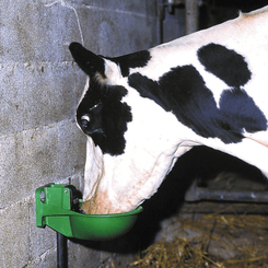 01 - Abreuvement - Abreuvoirs et accessoires - Abreuvoir FORSTAL