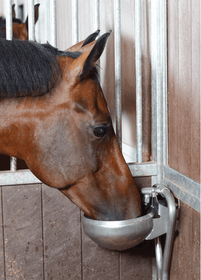 01 - Abreuvement - Abreuvoirs et accessoires - Abreuvoir F130 INOX