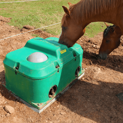 01 - Abreuvement - Abreuvoirs et accessoires - Abreuvoir antigel isotherme THERMOLAC 2 boules