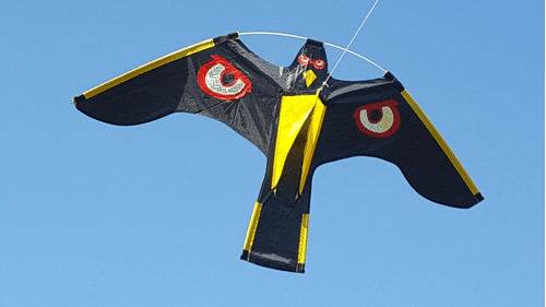 38 - Lutte anti nuisibles - Effaroucheurs - Cerf volant PRÉDATOR 2 et mat acier