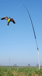38 - Lutte anti nuisibles - Effaroucheurs - Cerf volant PRÉDATOR 2 et mat acier
