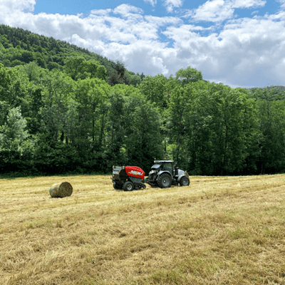 25 - Fenaison - Presse - Presse chambre fixe DIAVEL