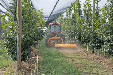 42 - Nettoyeur Haute Pression, Aspirateur, compresseurs, outils pneumatique - Entretien - Broyeur d'accotement ZMT-Gamme agricole
