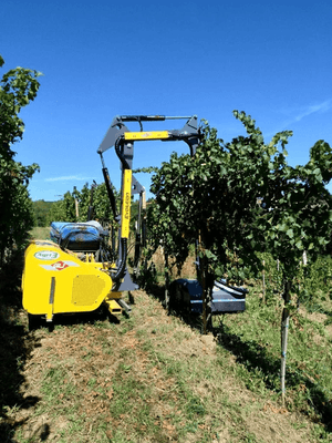 42 - Nettoyeur Haute Pression, Aspirateur, compresseurs, outils pneumatique - Entretien - Epareuse agricole  série Country Line