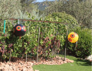 38 - Lutte anti nuisibles - Effaroucheurs - 3 ballons effaroucheurs