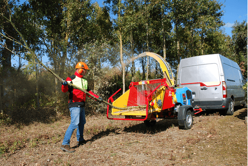 06 - Bois - Divers - Broyeur de branches électrique VEGETOR E