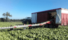60 - Transport - Pièce techniques - Remorques légumière DELECROIX