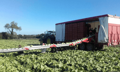 60 - Transport - Pièce techniques - Remorques légumière DELECROIX