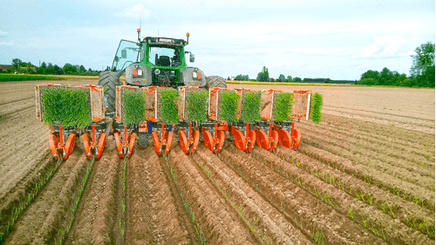 56 - Semence Traitement, Semis  - Semis - Planteuse repiqueuse