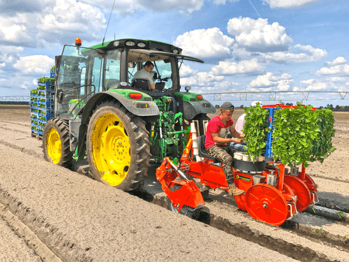 56 - Semence Traitement, Semis  - Semis - Planteuse repiqueuse