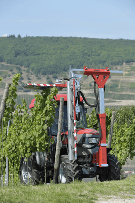 42 - Nettoyeur Haute Pression, Aspirateur, compresseurs, outils pneumatique - Entretien - Rogneuse viti-arbo ÉLITE
