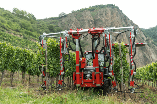 42 - Nettoyeur Haute Pression, Aspirateur, compresseurs, outils pneumatique - Entretien - Rogneuse viti-arbo ÉLITE