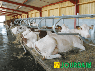 21 - Elevage - Matériel - Logettes à veaux JOURDAIN