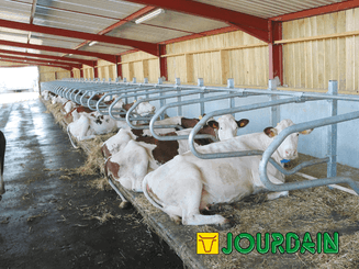 21 - Elevage - Matériel - Logettes à veaux JOURDAIN