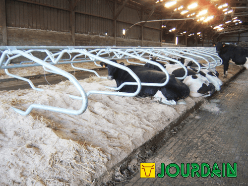 21 - Elevage - Matériel - Logettes à veaux JOURDAIN