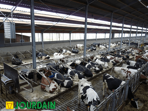 21 - Elevage - Matériel - Logettes à veaux JOURDAIN