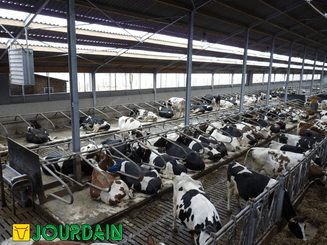 21 - Elevage - Matériel - Logettes à veaux JOURDAIN