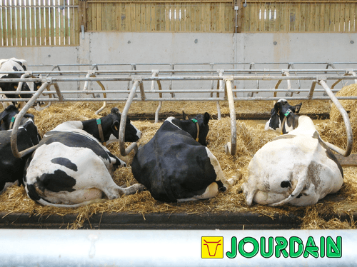 21 - Elevage - Matériel - Logettes à veaux JOURDAIN