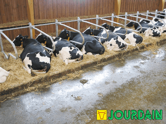 21 - Elevage - Matériel - Logettes à veaux JOURDAIN