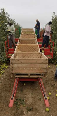 41 - Motoculture, Outillage Ferme et Jardin  - Outillage jardin et ferme - Plateforme récolte de fruits