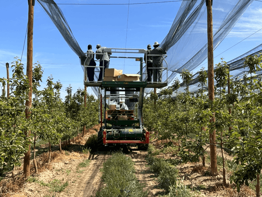 41 - Motoculture, Outillage Ferme et Jardin  - Outillage jardin et ferme - Plateforme récolte de fruits