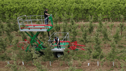 41 - Motoculture, Outillage Ferme et Jardin  - Outillage jardin et ferme - Plateforme récolte de fruits