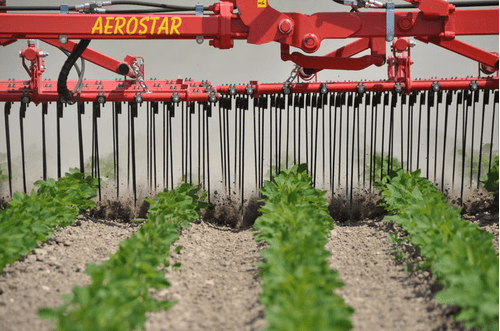 42 - Nettoyeur Haute Pression, Aspirateur, compresseurs, outils pneumatique - Entretien - Herse étrille AEROSTAR FUSION