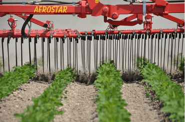 42 - Nettoyeur Haute Pression, Aspirateur, compresseurs, outils pneumatique - Entretien - Herse étrille AEROSTAR FUSION