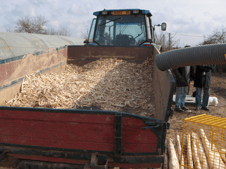 41 - Motoculture, Outillage Ferme et Jardin  - Outillage jardin et ferme - Ecorceuse de pieux ROBOPEL