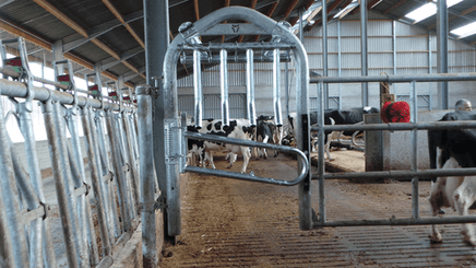 21 - Elevage - Matériel - Barrière  4 lisses