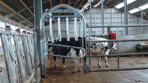 21 - Elevage - Matériel - Barrière  4 lisses