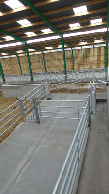 21 - Elevage - Matériel - Barrière  4 lisses