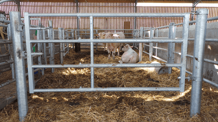 21 - Elevage - Matériel - Barrière  4 lisses