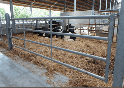 21 - Elevage - Matériel - Barrière  4 lisses