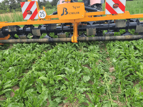 42 - Nettoyeur Haute Pression, Aspirateur, compresseurs, outils pneumatique - Entretien - Arracheuse mauvaises herbes TIG'AIR