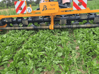 42 - Nettoyeur Haute Pression, Aspirateur, compresseurs, outils pneumatique - Entretien - Arracheuse mauvaises herbes TIG'AIR