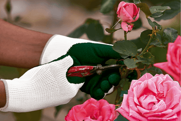 24 - Equipement et protection individuelle - Gants - Gants de jardinage ECO FLEX