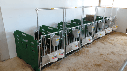 21 - Elevage - Matériel - Cases à veaux JOURDAIN