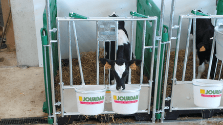 21 - Elevage - Matériel - Cases à veaux JOURDAIN