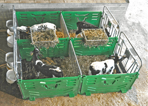 21 - Elevage - Matériel - Cases à veaux JOURDAIN