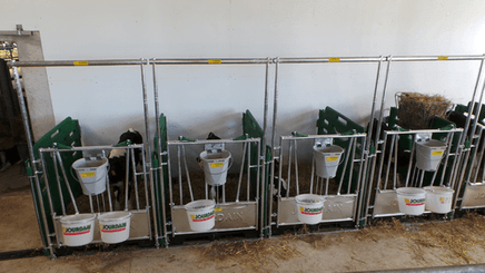 21 - Elevage - Matériel - Cases à veaux JOURDAIN