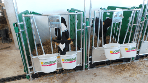 21 - Elevage - Matériel - Cases à veaux JOURDAIN