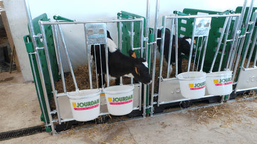 21 - Elevage - Matériel - Cases à veaux JOURDAIN