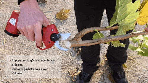 62 - Viticulture, arboriculture - Sécateurs - Sécateur à batterie KS2000