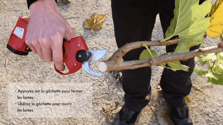 62 - Viticulture, arboriculture - Sécateurs - Sécateur à batterie KS2000