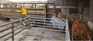 60 - Transport - Pièce techniques - Bétaillère pont hydraulique MERCURE