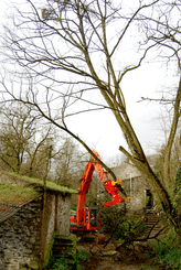 Matériel forestier - Autres matériels forestiers - Grappin XYLOCUT - XYLOGRIP
